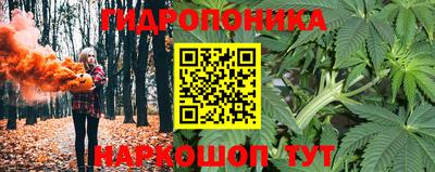 apvp Балахна