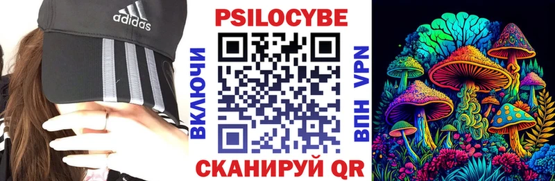 Галлюциногенные грибы Psilocybine cubensis Бор